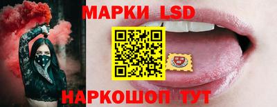 винт Донецк