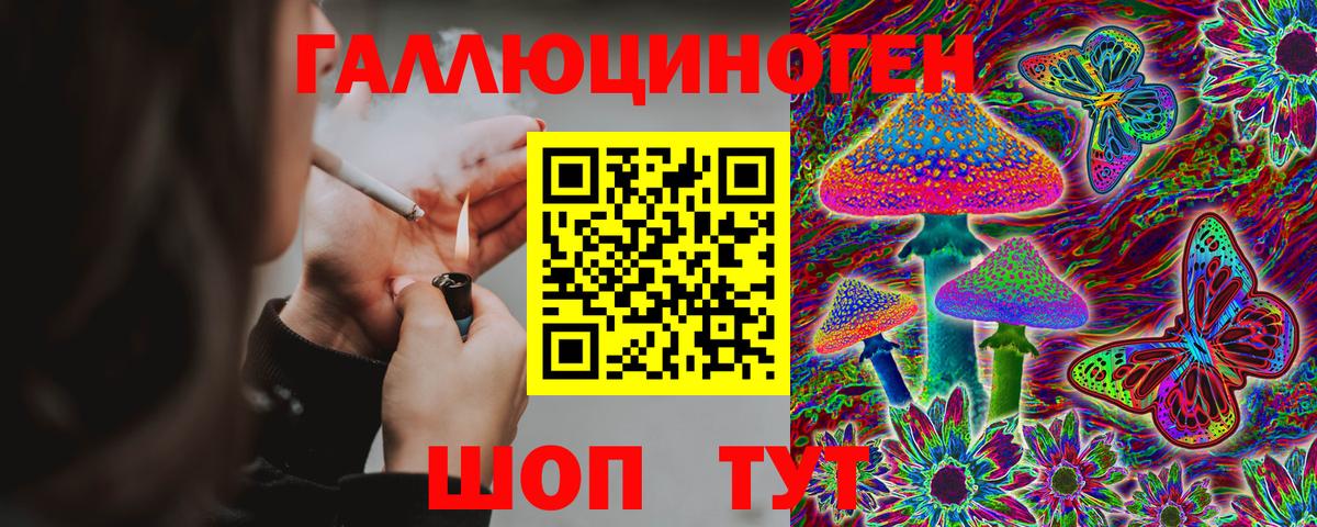 Моздок  Псилоцибиновые грибы мухоморы  Вход с VPN  Псилоцибиновые грибы мухоморы 