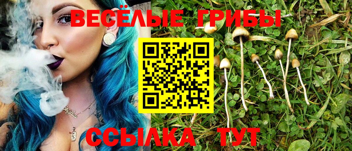 Галлюциногенные грибы мицелий Моздок